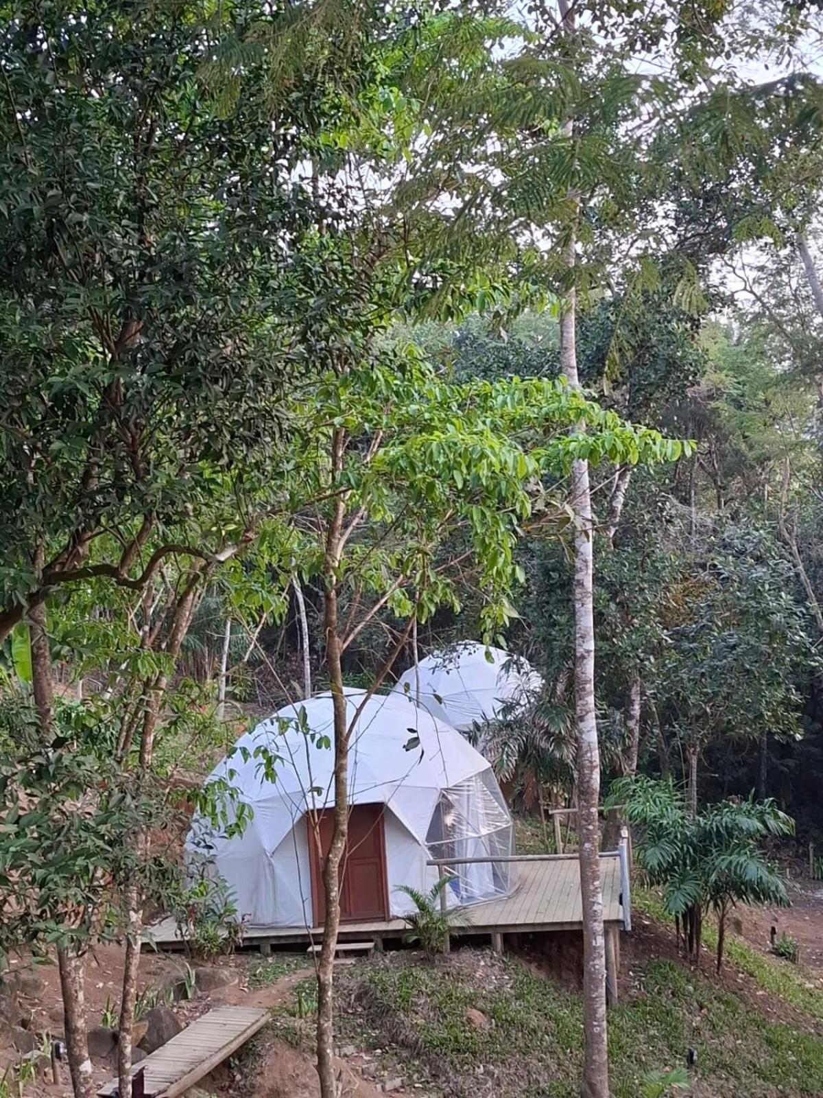 Glamping Sitio Das Tartarugas Angra dos Reis Exteriör bild
