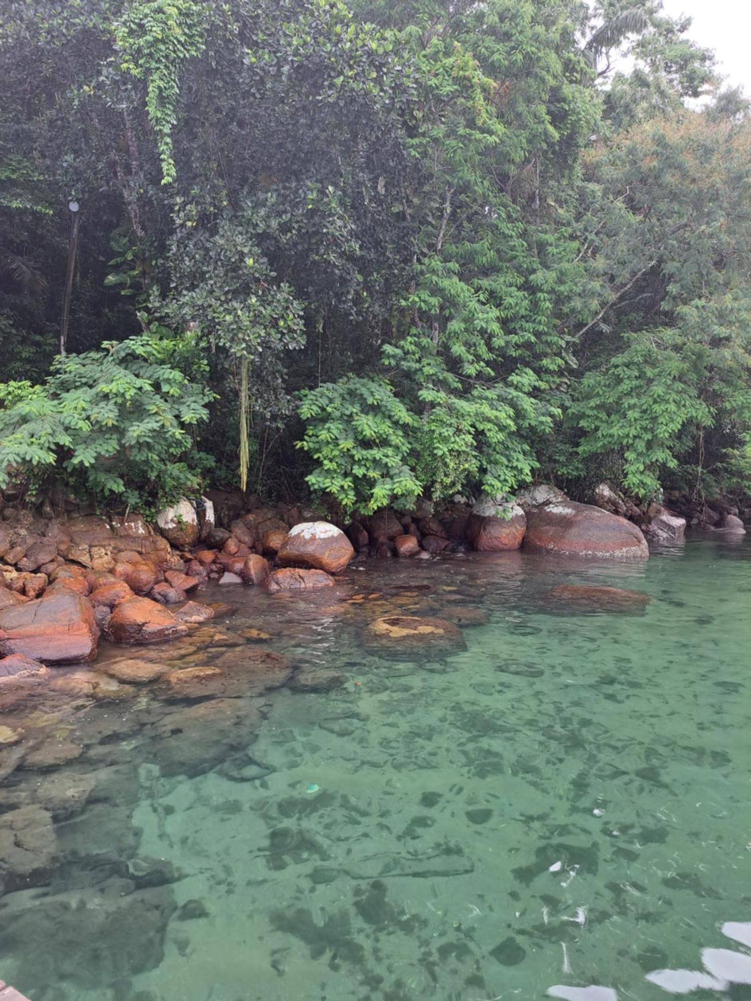 Glamping Sitio Das Tartarugas Angra dos Reis Exteriör bild