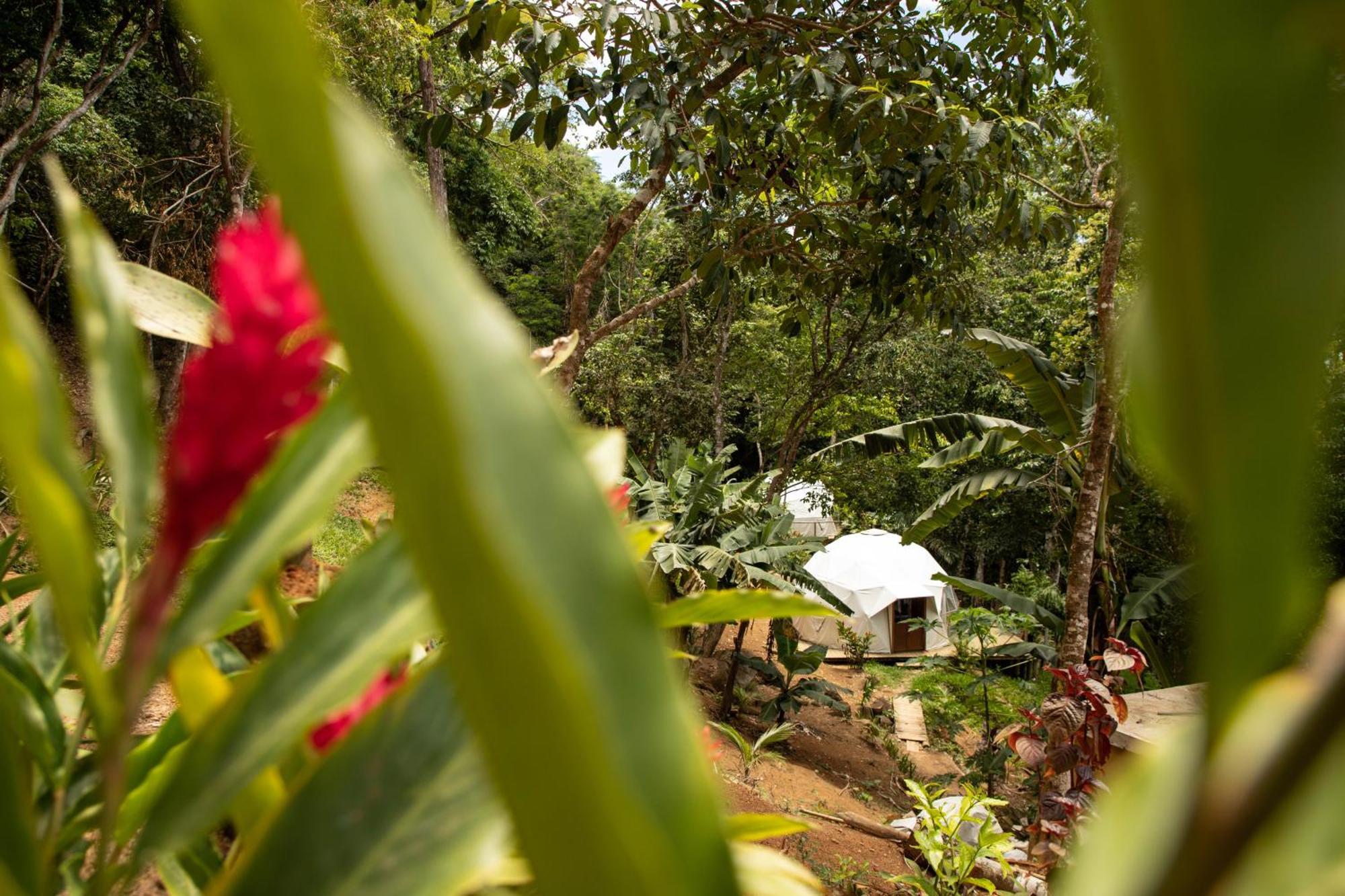 Glamping Sitio Das Tartarugas Angra dos Reis Exteriör bild